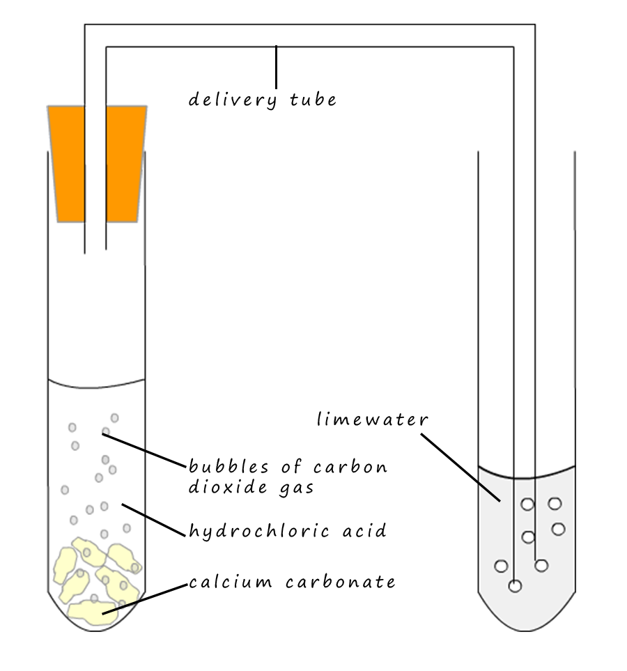 test for carbonate ions